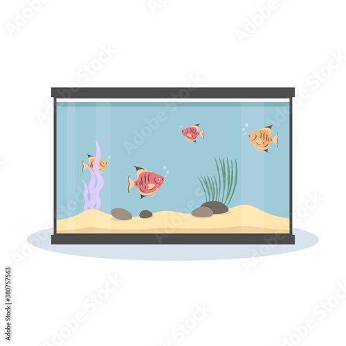 Cute fish fishbowl  fish tank aquarium  vector illustration flat icon