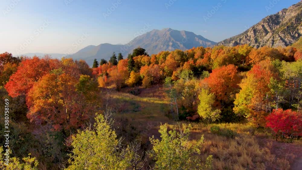 Flying just over the treetops and turning to reveal a forested mountain landscape in vivid fall and autumn colors Flying just over the treetops and turning to reveal a forested mountain landscape in vivid fall and autumn colors