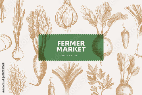 Hand-drawn background from vegetables. Beets, onions, peppers. Organic food concept. It can be used as a decoration element for farmer's markets, menus, packaging. Vintage botanical illustrations.