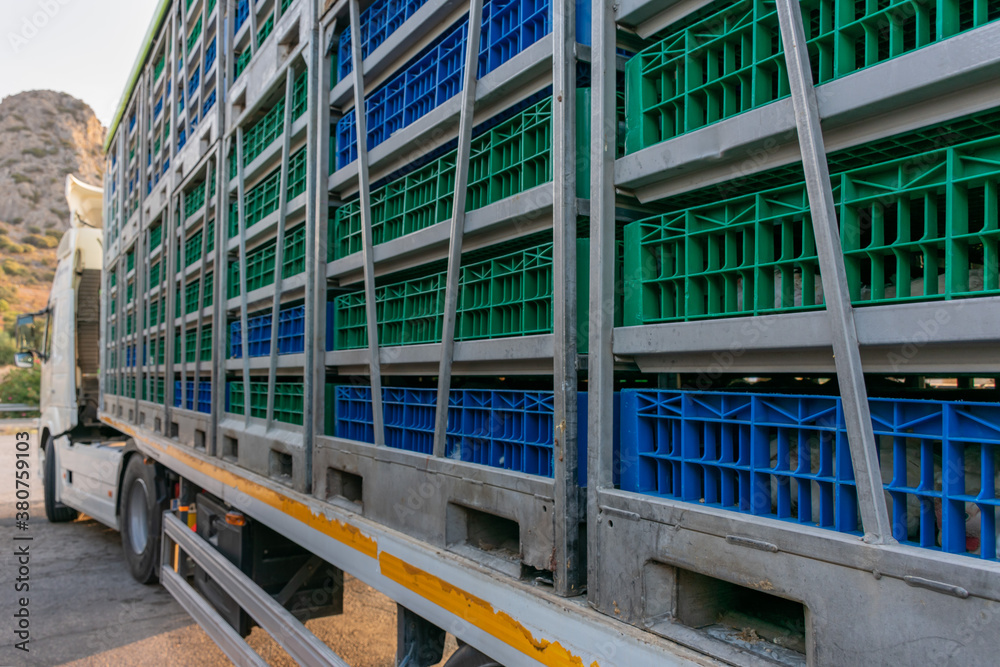 Cages for transporting hens by truck from farm to slaughterhouse Cages for transporting hens by truck from farm to slaughterhouse