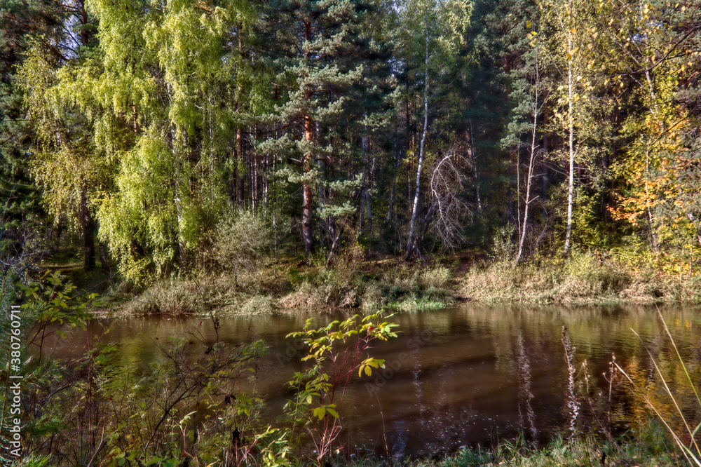Autumn landscape, forest trees are reflected in calm river water against a background of blue sky and white clouds. Autumn landscape, forest trees are reflected in calm river water against a background of blue sky and white clouds.