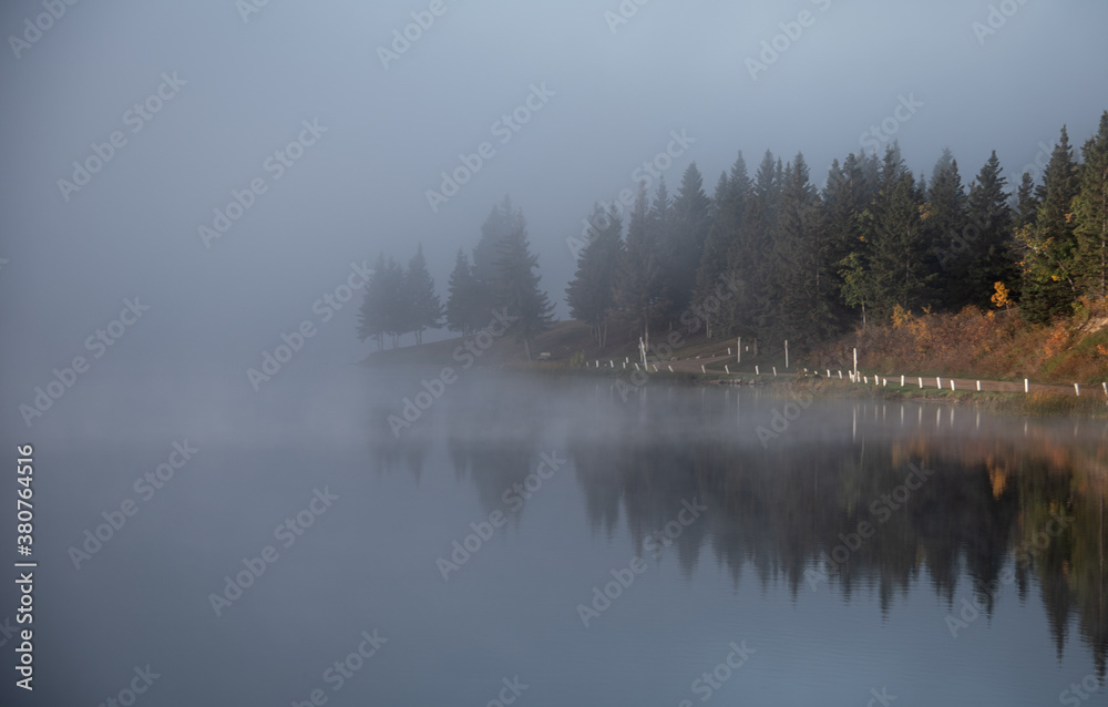 Trees emerging from mist on a calm northern canadian lake Trees emerging from mist on a calm northern canadian lake