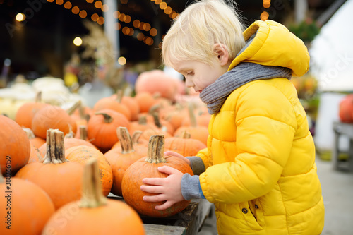 Little boy choose right pumpkin on a farm at autumn. Preschooler child hold a orange pumpkin.