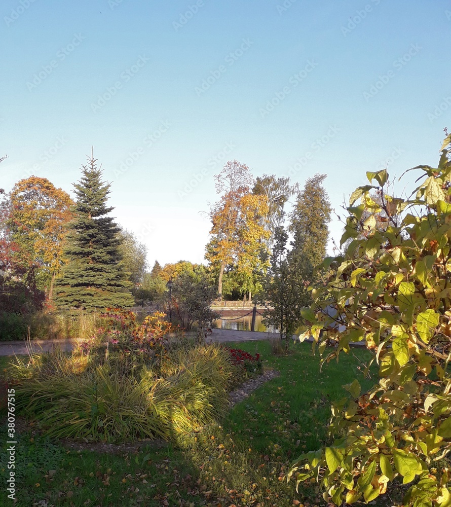 Naklejka premium autumn in the park with a pond