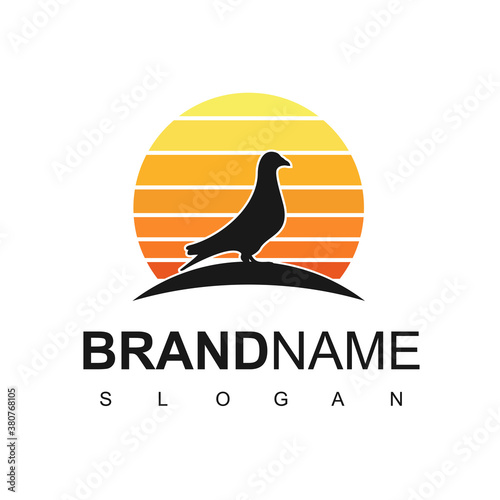 Bird Logo Design With Pigeon, Dove Symbol