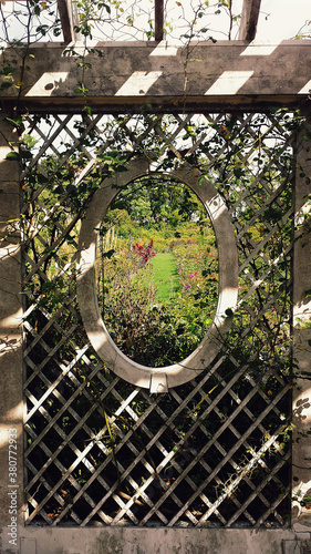 A White Wooden Garden Window, Overgrown photo