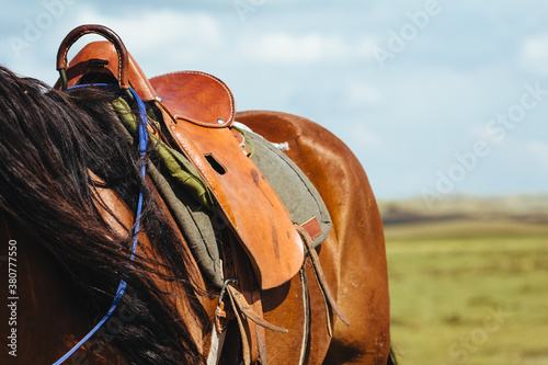 closeup of saddle photo