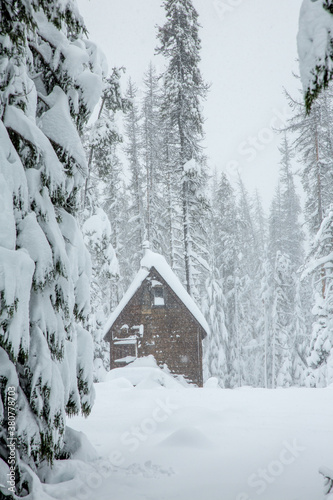 A cabin in a forest of snow covered fir trees in the Cascade mountains in the Willamette National forest, Oregon. Snow flakes are falling.