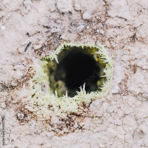 Sulphur Crystals photo