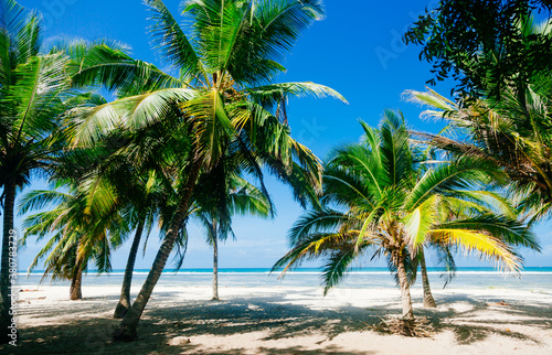 Idyllic Tropical Beach photo