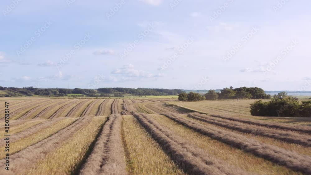 Drone Flight Over Crops In Field Drone Flight Over Crops In Field