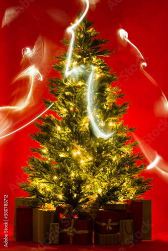 Lighting Christmas Tree photo