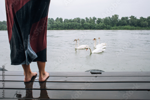 Woman looking at swans on the riverside photo