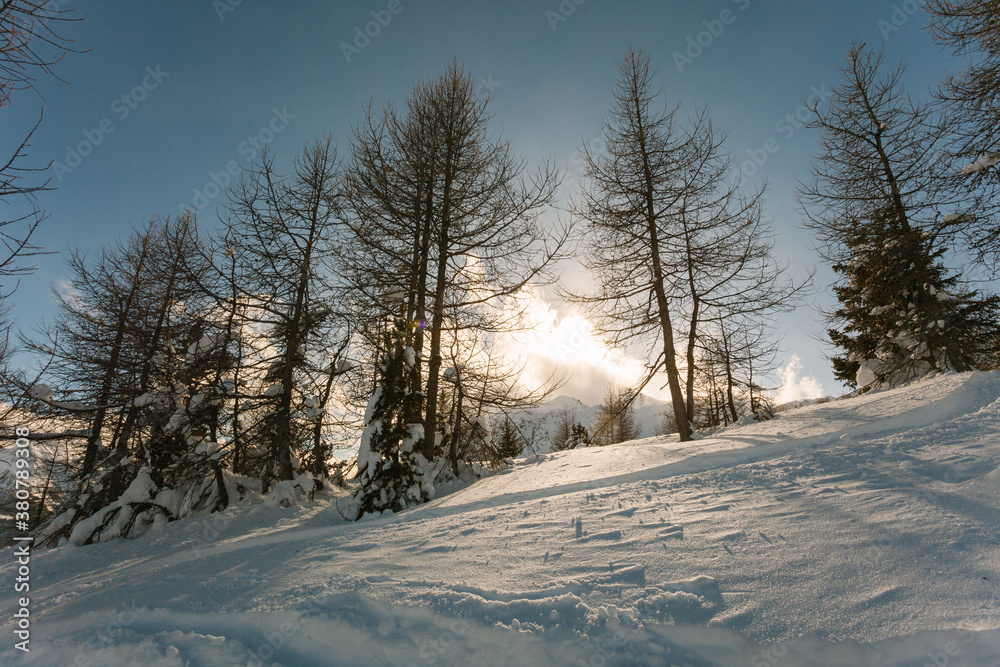 Typical Winter Landscape in the Alps Typical Winter Landscape in the Alps