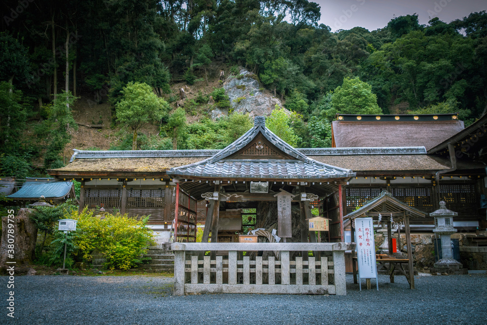 京都、嵐山にある松尾大社の相生の松 京都、嵐山にある松尾大社の相生の松