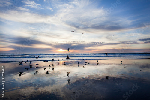 Blue Sky With Birds on Beach in California photo