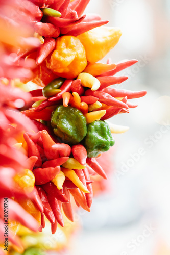 Multicolored chili pepper ristra wreath hanging for sale at local farmers market photo