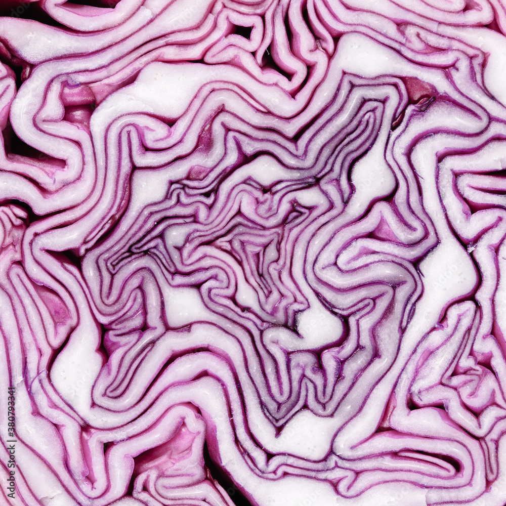 Abstract Red cabbage background Abstract Red cabbage background