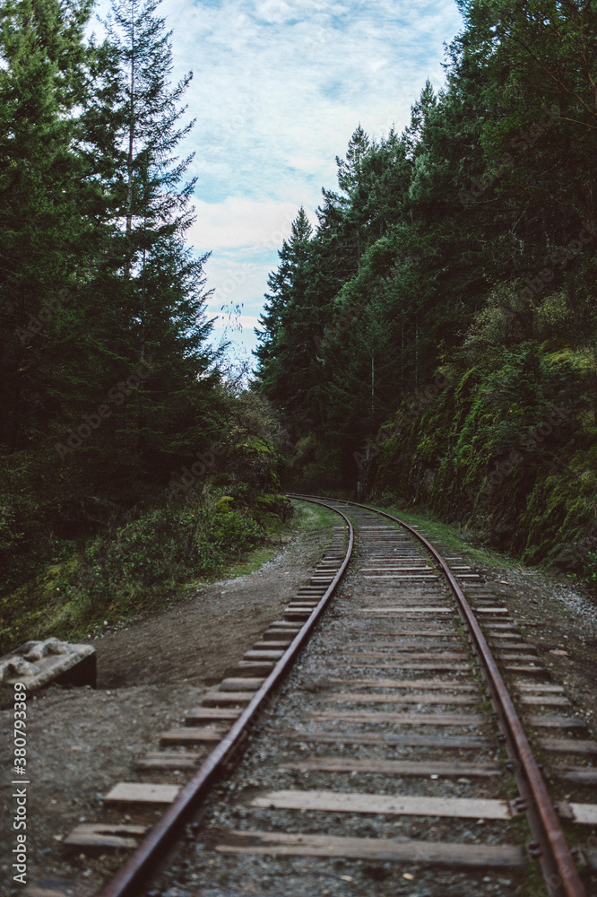 Railroad track at the Goldstream bridge in Victoria, BC