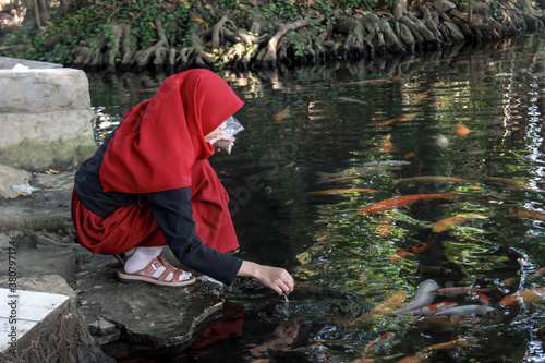 portrait of an asian woman feeding fish in a pond. holiday in koi fish ponds on weekends