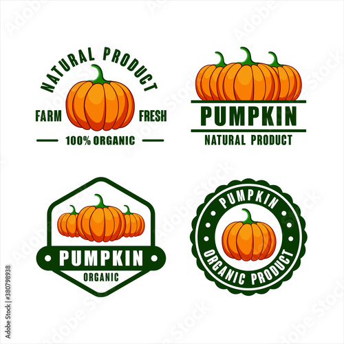Badge pumpkin organic product logo Collection