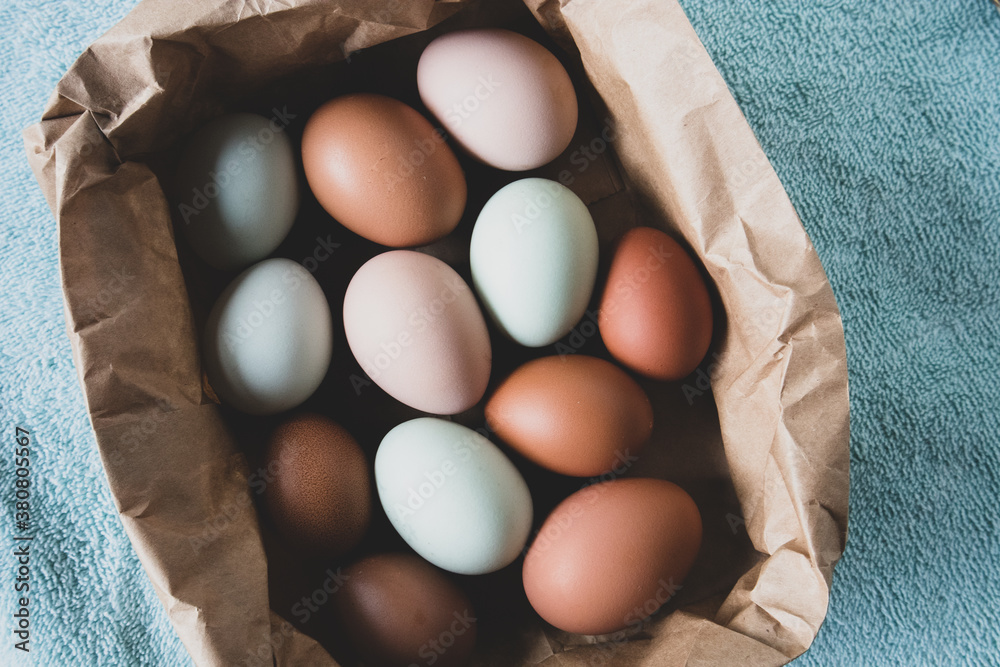 Group of Colorful Farm Fresh Eggs in a Brown Paper Bag - overhead