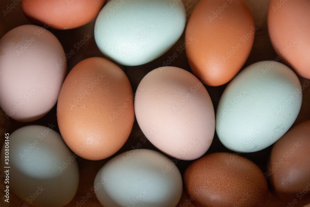 Naturally Colorful Chicken Eggs in a Pattern Naturally Colorful Chicken Eggs in a Pattern