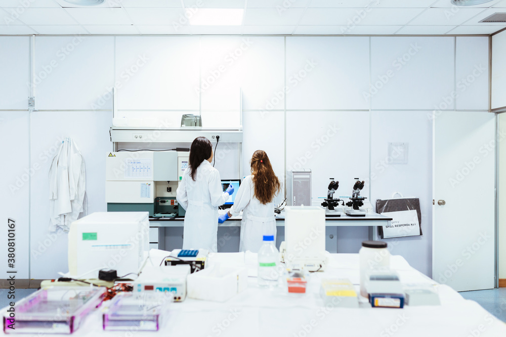 back view of chemists working in laboratory back view of chemists working in laboratory