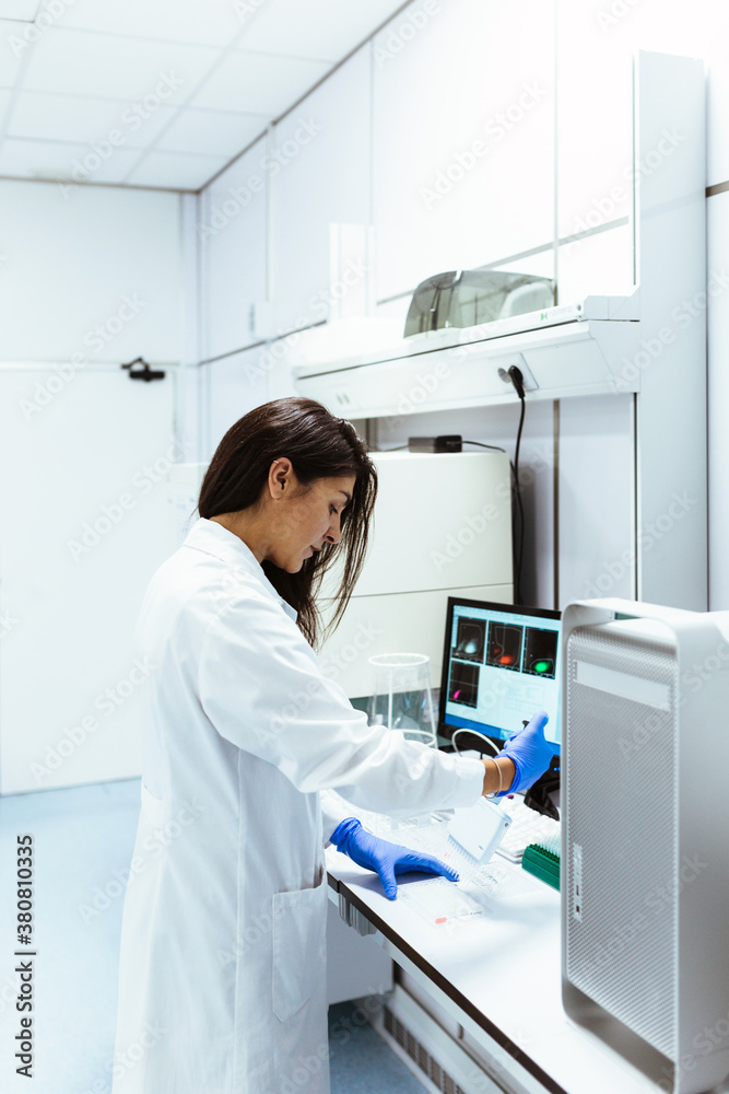 Doctor working with multi-pipette in lab Doctor working with multi-pipette in lab
