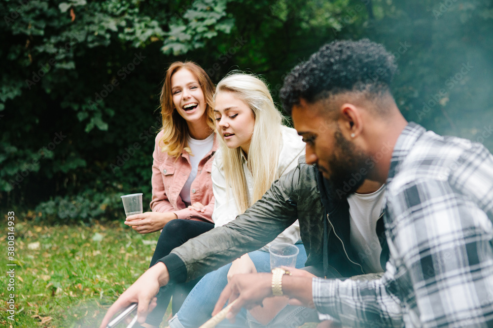Four friends enjoying a picnic barbecue Four friends enjoying a picnic barbecue
