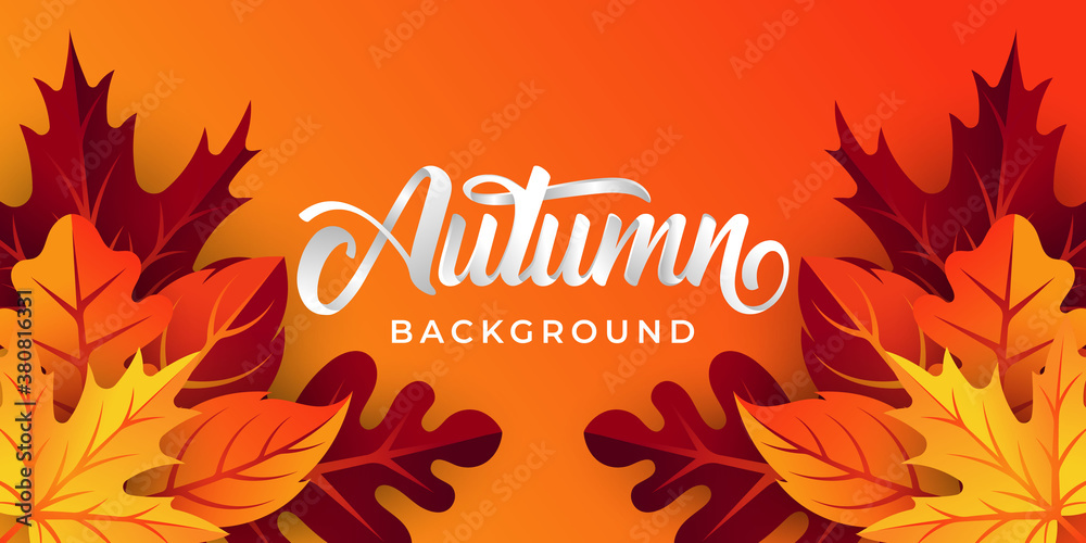 Autumn background vector with decorative leaves. Autumn fall Vector background template. Abstract Autumn background design template for ad, poster, banner, flyer, invitation, website or greeting card