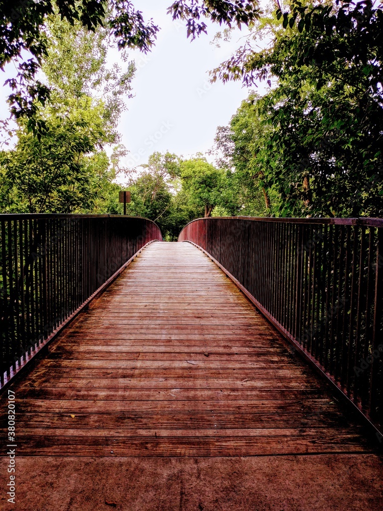 Obraz premium wooden bridge in the forest