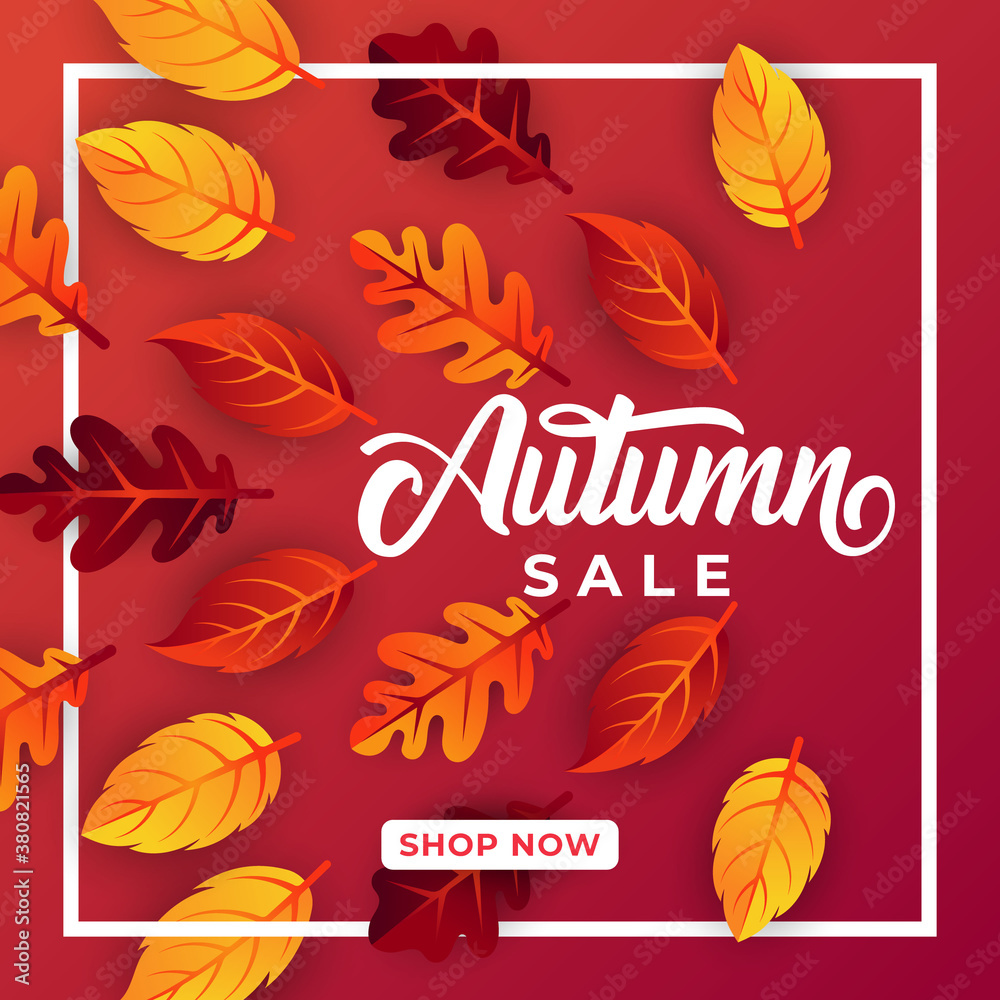 Autumn sale background vector with decorative leaves. Autumn Sale Vector background Illustration. Abstract Autumn Sale background design template for advertising, flyer, web banner, poster, brochure