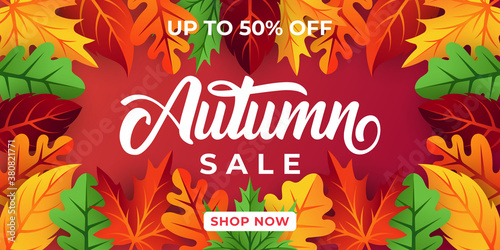 Autumn sale background vector with decorative leaves. Autumn Sale Vector background Illustration. Abstract Autumn Sale background design template for advertising, flyer, web banner, poster, brochure