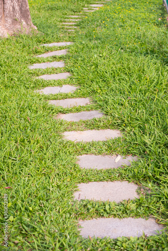 Paving stones crossing a green grassy lawn photo