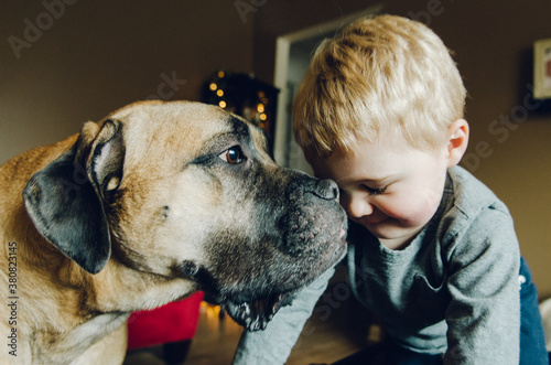 a boy and his very large dog photo