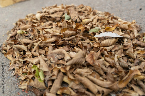 Pile of dry leaves swept together on car parking lot