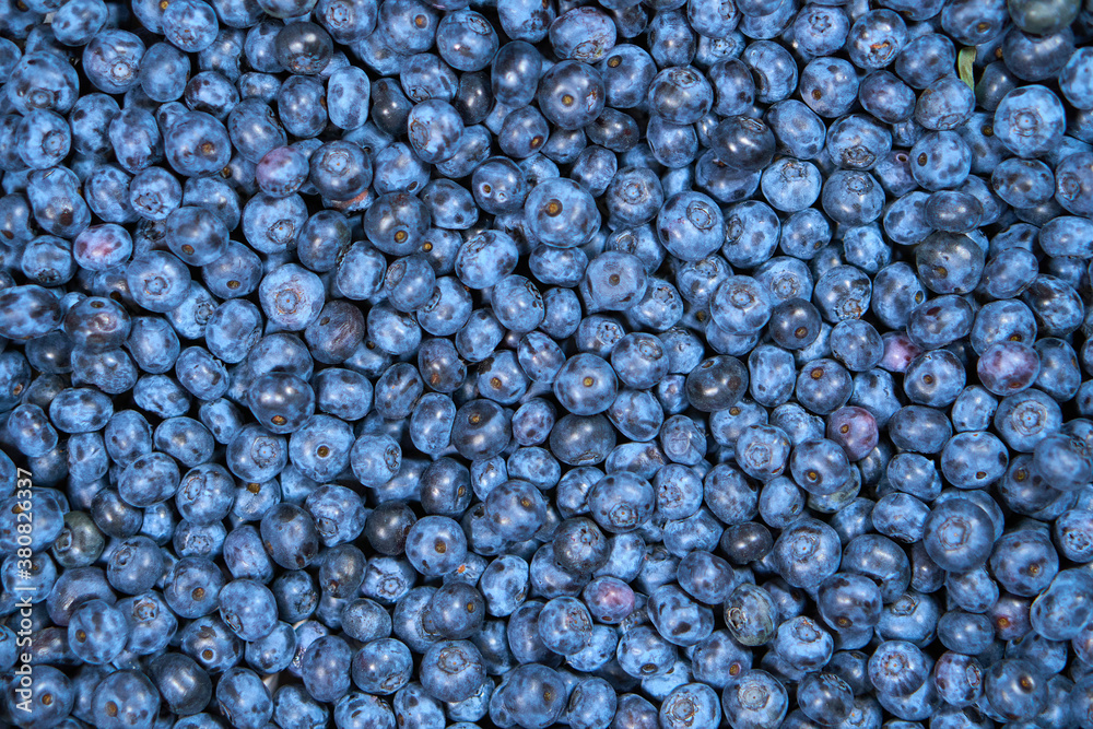 Background from Blueberry. completely closed blueberry for screensaver. Blue berries. Natural. High quality photo Background from Blueberry. completely closed blueberry for screensaver. Blue berries. Natural. High quality photo