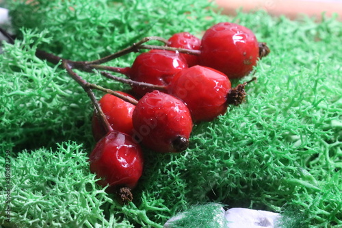 A pile of green grass