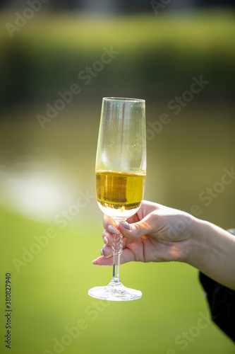 Womans Hand Holding A Glass Of White Wine, Toasting, Centered, Green Wineyard Background
