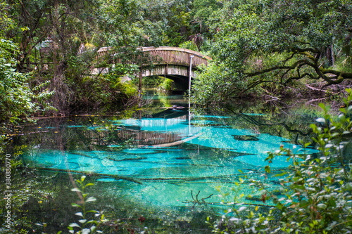 Fototapeta Naklejka Na Ścianę i Meble -  Natural clear fresh turquoise water oasis at Juniper springs with wooden bridge at Ocala national forest in central Florida, north of Orlando.
