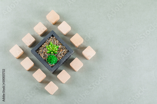 Business concept with wooden blocks, green plant on sage color background flat lay. space for text. horizontal image photo