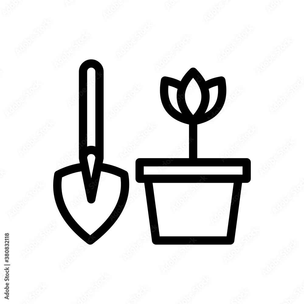 plant plant
