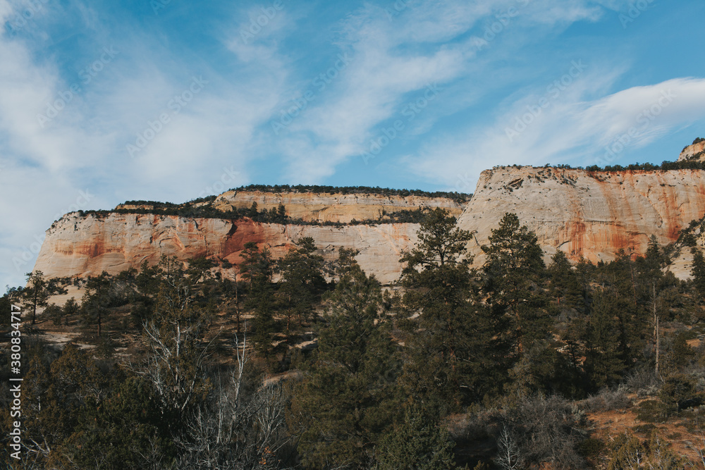landscape in zion national park