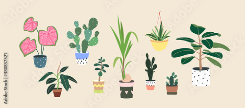 Home plants in flowerpot. Houseplants isolated. Set collection. Trendy hugge style, urban jungle decor. Hand drawn. Green, blue, pink, brown, beige, white colors. Print, poster, banner. Logo, label.