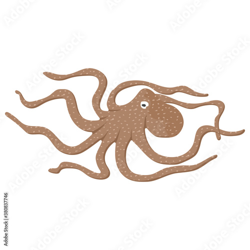  Octopus, isometric vector icon, 