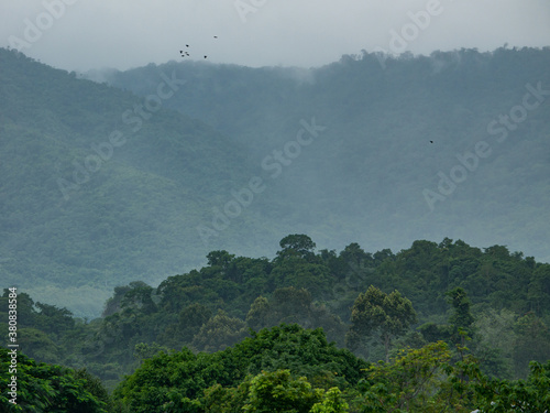 Photos of Fog and mountains at Khao yai National Park , Thailand.