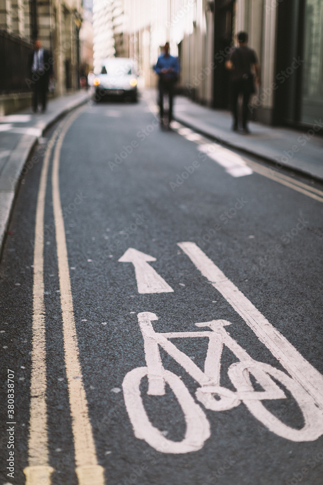 custom made wallpaper toronto digitalBicycle lane