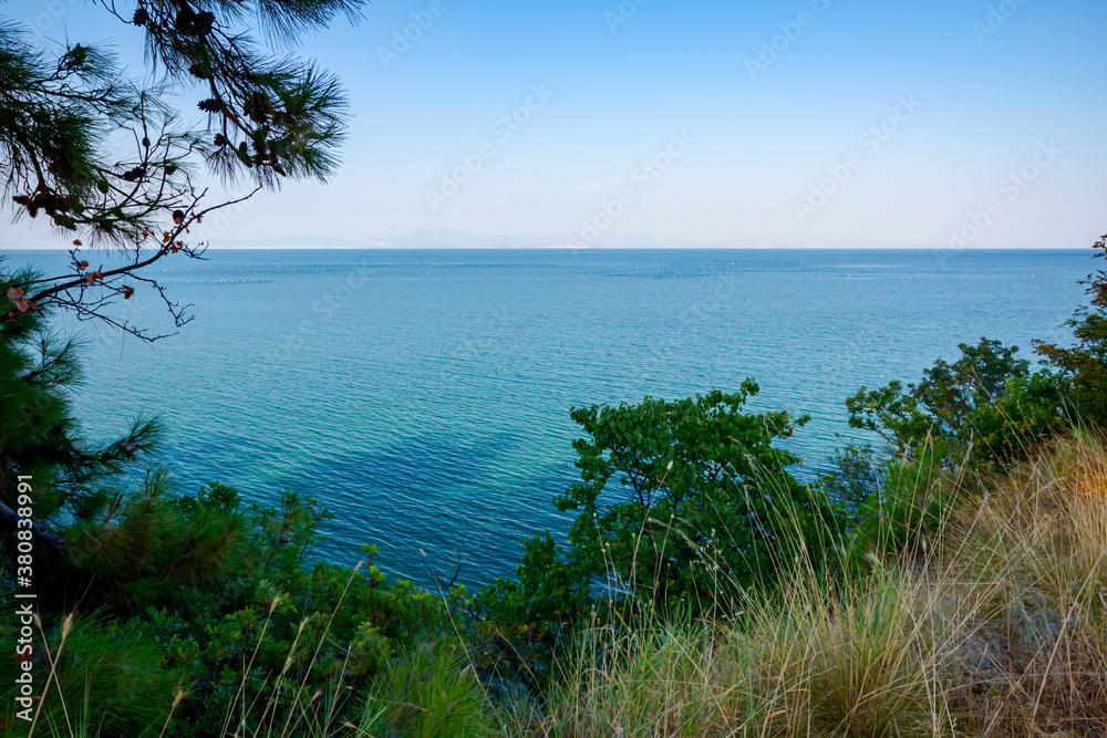 View on the bay trough green vegetation