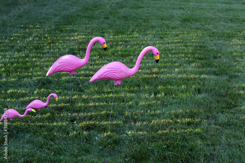 A Family Of Pink Plastic Flamingos In A Green Summer Lawn